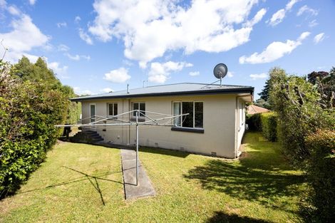 Photo of property in 8 Alison Street, Hamilton Lake, Hamilton, 3204