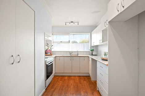 Photo of property in 22 Lovelock Place, Chartwell, Hamilton, 3210