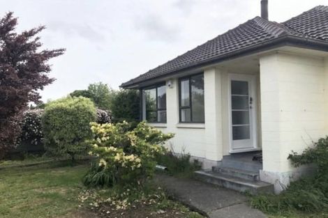 Photo of property in 19 Amuri Street, Hei Hei, Christchurch, 8042
