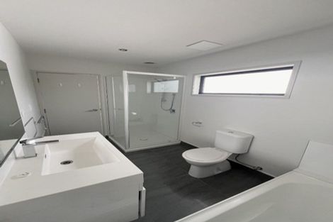 Photo of property in 195u1 Massey Street, Frankton, Hamilton, 3204