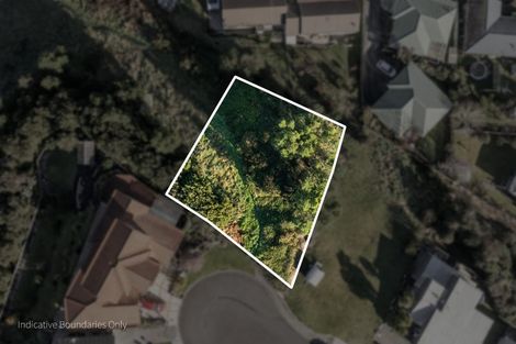 Photo of property in 21 Ohinemuri Place, Paeroa, 3600