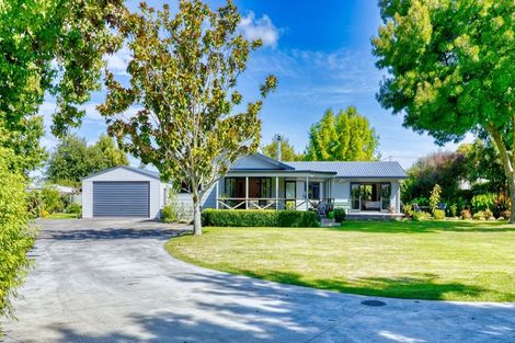 Photo of property in 253 Havelock Road, Akina, Hastings, 4122