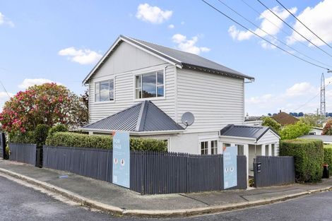 Photo of property in 207 Elgin Road, Balaclava, Dunedin, 9011