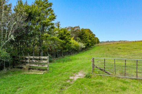Photo of property in 704 Whangaripo Valley Road, Whangaripo, Wellsford, 0972