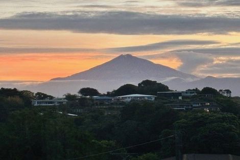 Photo of property in 92 Mangorei Road, Strandon, New Plymouth, 4312