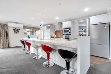 Photo of property in 141 Lowes Road, Rolleston, 7614