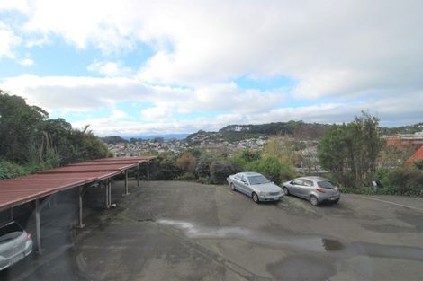 Photo of property in Mccallister Heights, 381u3 Adelaide Road, Newtown, Wellington, 6021