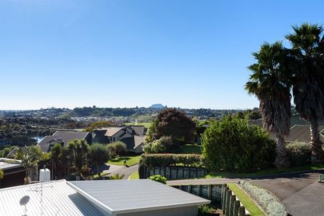 Photo of property in 39 Hallmark Rise, Bethlehem, Tauranga, 3110