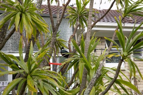 Photo of property in 23a/3 Eversleigh Road, Belmont, Auckland, 0622