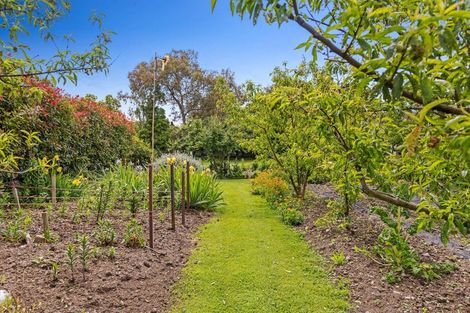 Photo of property in 45 Wildman Road, Motueka, 7120
