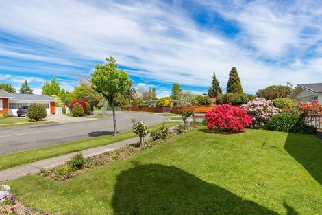 Photo of property in 42 Leefield Street, Blenheim, 7201