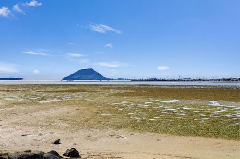 Photo of property in 14a Kulim Avenue, Otumoetai, Tauranga, 3110