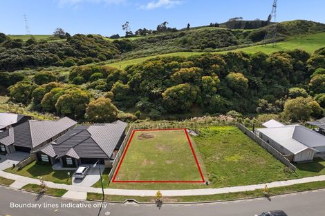 Photo of property in 165 Adler Drive, Ohauiti, Tauranga, 3112