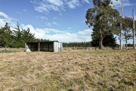 Photo of property in 5a Pesters Road, Eyrewell, Rangiora, 7476
