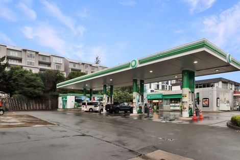 Photo of property in Grosvenor Cl, 6u6 Brown Street, Mount Cook, Wellington, 6021