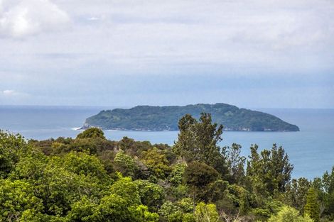 Photo of property in 123 Pumpkin Hill Road, Pumpkin Hill, Whitianga, 3591