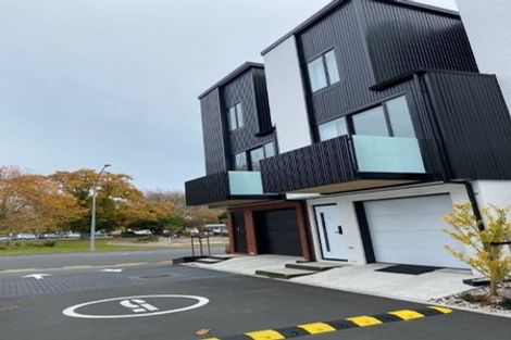 Photo of property in 216u1 Tristram Street, Hamilton Central, Hamilton, 3204
