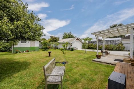 Photo of property in 34 Middlesex Street, Levin, 5510