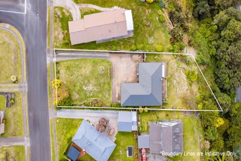 Photo of property in 21 House Avenue, Taumarunui, 3920