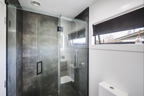 Photo of property in 733 Ngaio Street, Mahora, Hastings, 4120