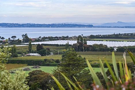 Photo of property in 36 Kaimata Road, Bay View, Napier, 4182