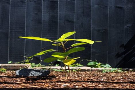 Photo of property in 4/36 Kinloch Street, St Albans, Christchurch, 8014