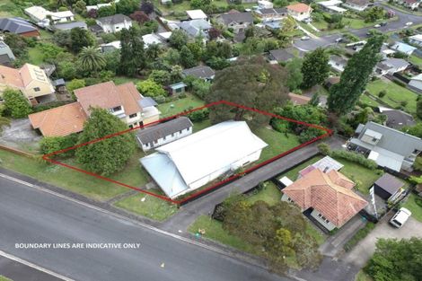 Photo of property in 16 Ridout Street, Maeroa, Hamilton, 3200