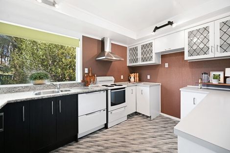 Photo of property in 17 Lancaster Street, Dinsdale, Hamilton, 3204