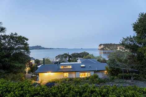 Photo of property in 1109 Purangi Road, Ferry Landing, Whitianga, 3591