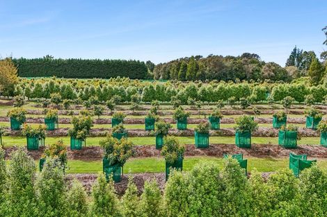 Photo of property in 120 Patons Rock Road, Patons Rock, Takaka, 7182