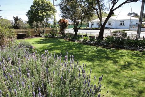 Photo of property in 111 Villa Street, Masterton, 5810