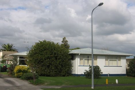 Photo of property in 34 Paisley Street, Awapuni, Palmerston North, 4412