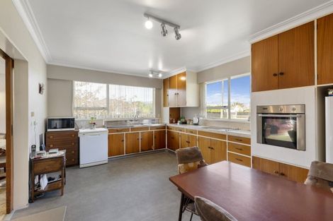 Photo of property in 205 Tiro Tiro Road, Levin, 5510
