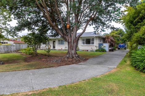 Photo of property in 19 Tennent Court, Marton, 4710