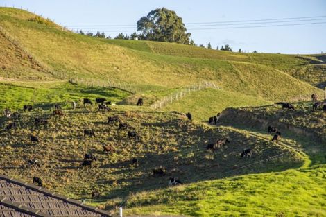 Photo of property in 161 Ballintoy Park Drive, Welcome Bay, Tauranga, 3175