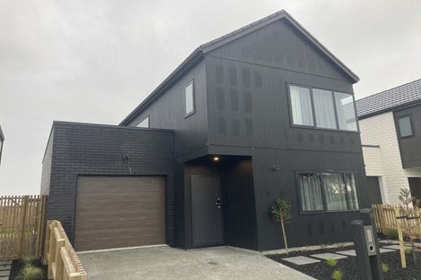Photo of property in 17 Kakariki Lane, Rototuna North, 3210