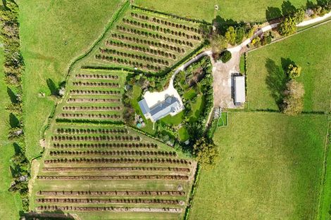 Photo of property in 120 Patons Rock Road, Patons Rock, Takaka, 7182