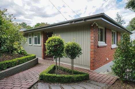 Photo of property in 39 Pacific Street, Roslyn, Dunedin, 9010