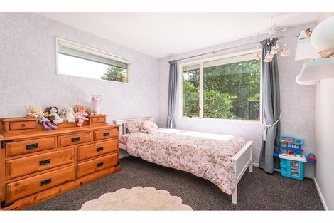 Photo of property in 133 Rose Street, Somerfield, Christchurch, 8024