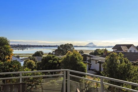 Photo of property in 240 Maungatapu Road, Maungatapu, Tauranga, 3112