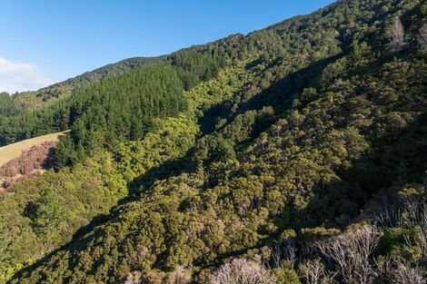 Photo of property in 803 Manaroa Road, Manaroa, Picton, 7282