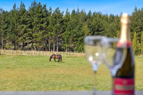 Photo of property in 212 Mangakaretu Road, Waipapa, Kerikeri, 0295
