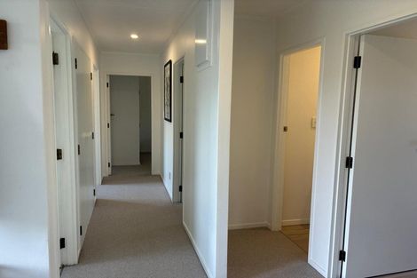 Photo of property in 48 Antimony Crescent, Cromwell, 9310