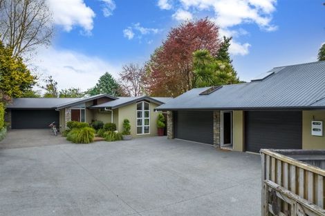 Photo of property in 255 Bankwood Road, Chartwell, Hamilton, 3210