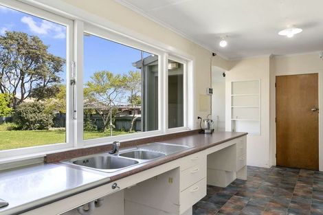 Photo of property in 53 Scannell Street, Taupo, 3330