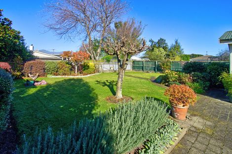 Photo of property in 45 York Street, Solway, Masterton, 5810