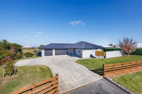 Photo of property in 29 Wapiti Avenue, Feilding, 4775