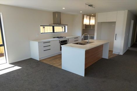 Photo of property in 19 Mccormick Lane, Rolleston, 7615