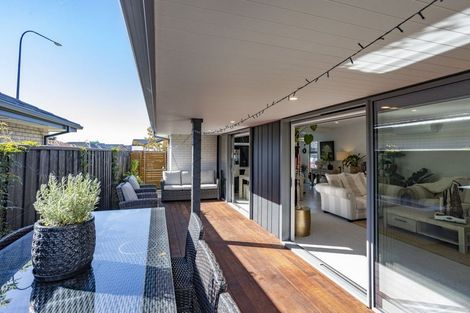 Photo of property in 43 Chambers Avenue, Woodend, 7610