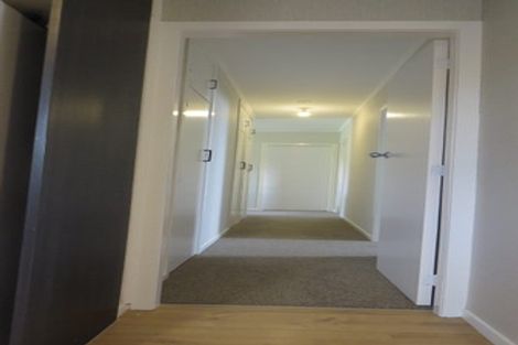 Photo of property in 21 Casper Street, Fairfield, Hamilton, 3214